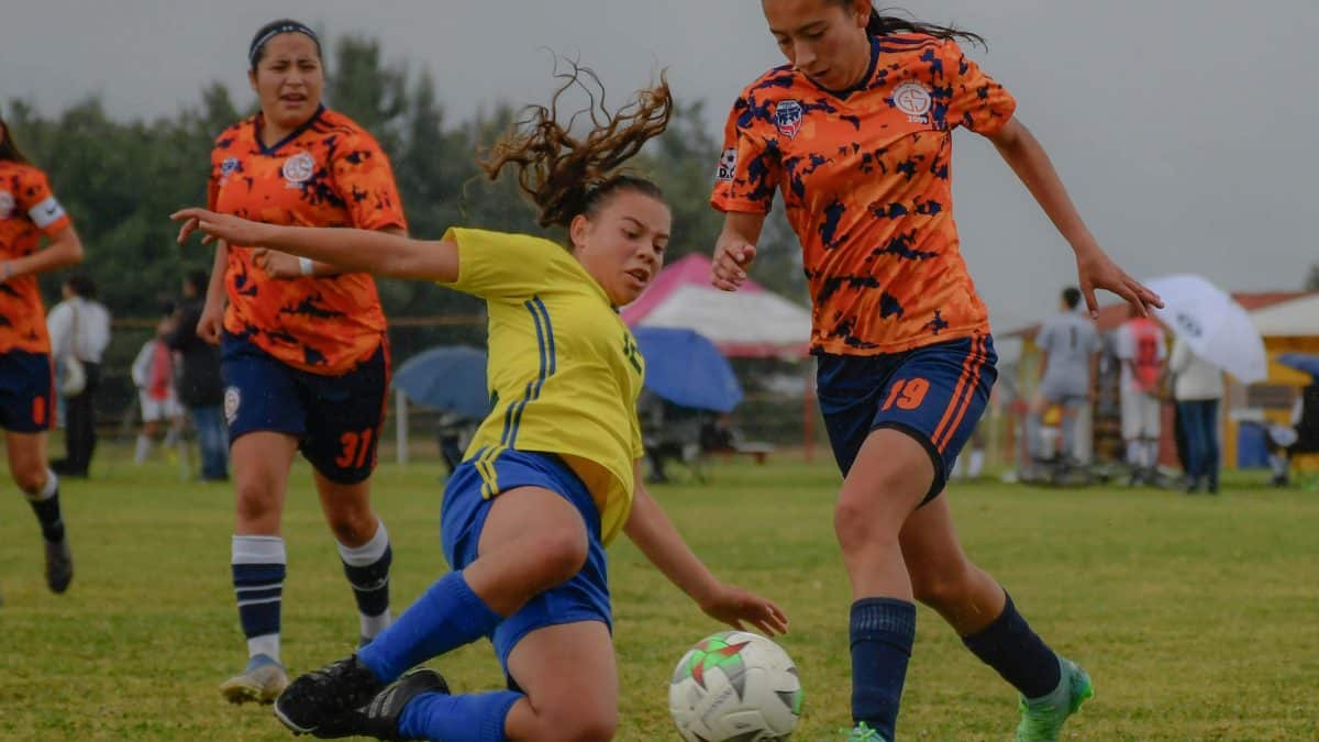 saiba como fazer apostas no esporte em 2025